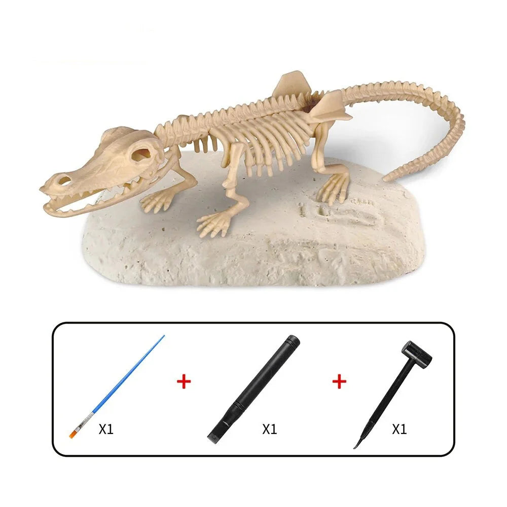 Skanto | Dino Graving - Grav opp fossilene - Utgravingssett