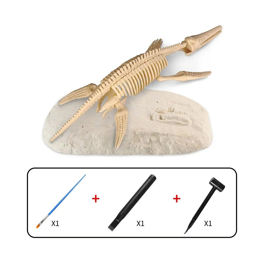 Skanto | Dino Graving - Grav opp fossilene - Utgravingssett