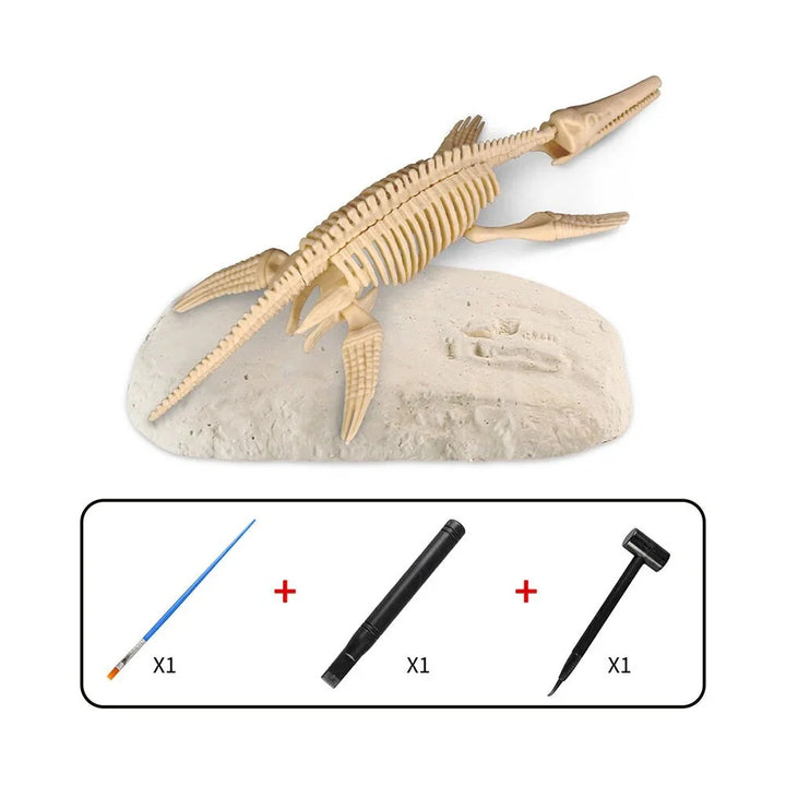 Skanto | Dino Graving - Grav opp fossilene - Utgravingssett