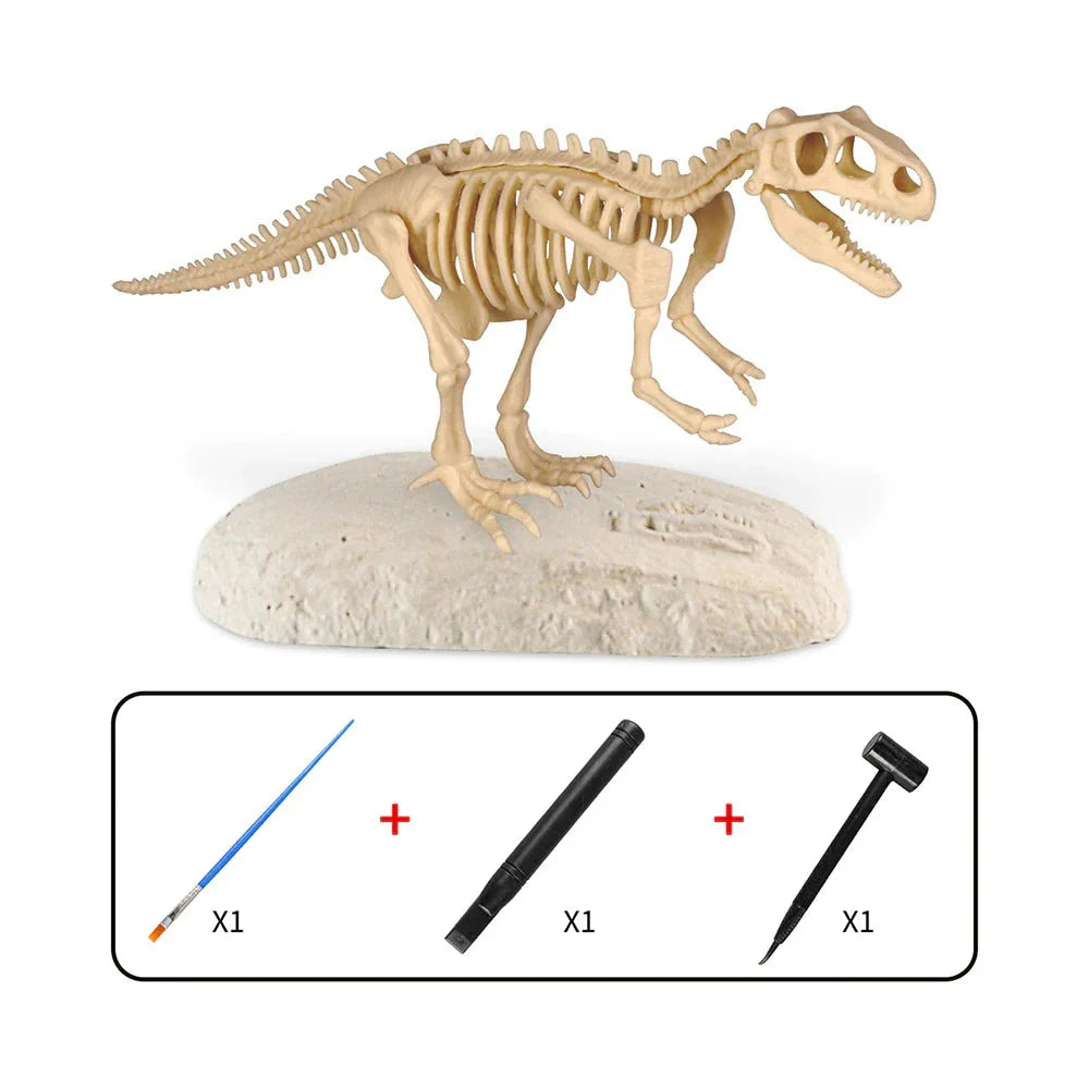 Skanto | Dino Graving - Grav opp fossilene - Utgravingssett