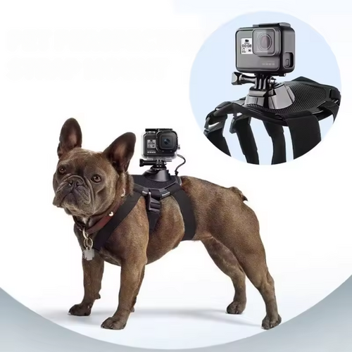 Action-Cam Hundesele med 360° Perspektiv Skanto