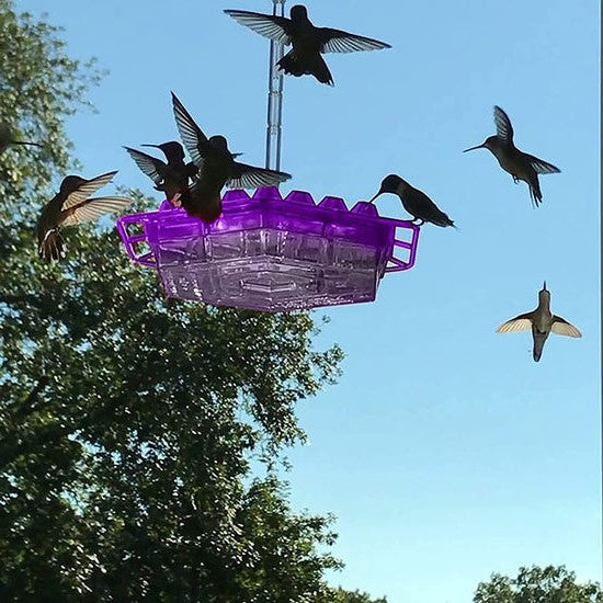 Skanto | NectarHex – Ant-bevis kolibri matar med 30 porter og UV-motstandsdyktig design