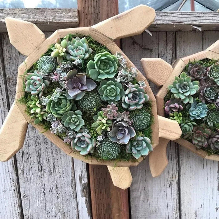 Animal Succulent Hageoppsett | Skanto
