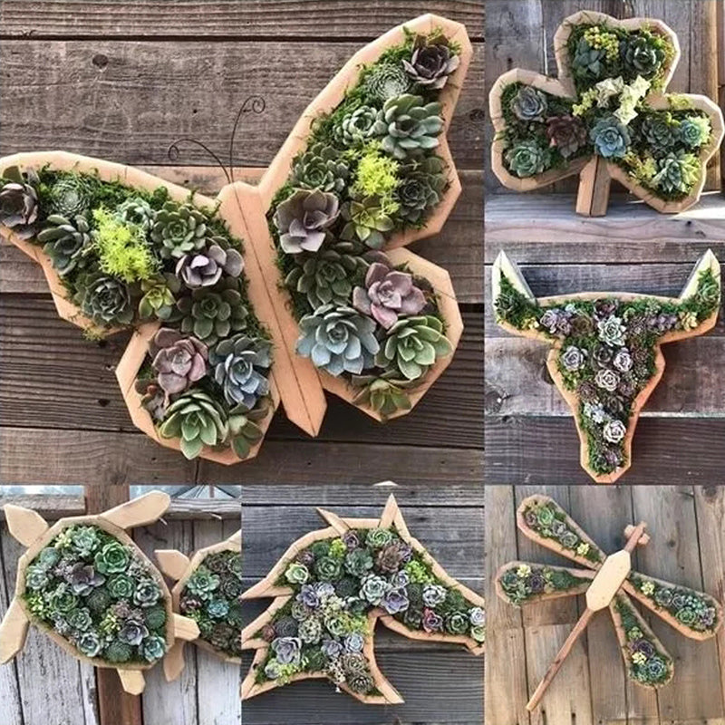 Animal Succulent Hageoppsett | Skanto