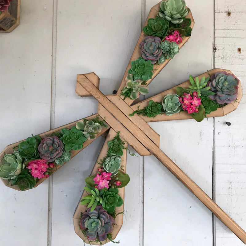Animal Succulent Hageoppsett | Skanto