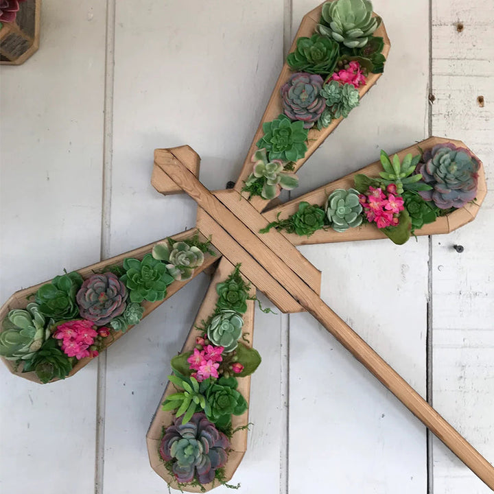 Animal Succulent Hageoppsett | Skanto