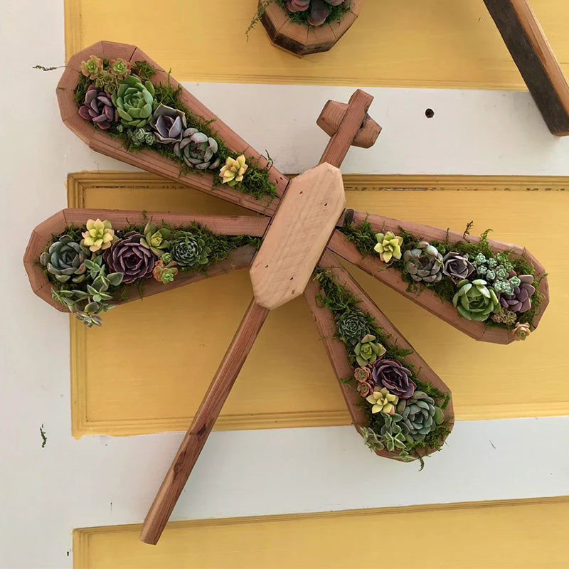 Animal Succulent Hageoppsett | Skanto