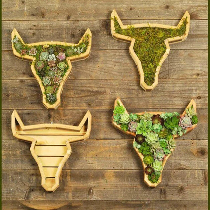 Animal Succulent Hageoppsett | Skanto