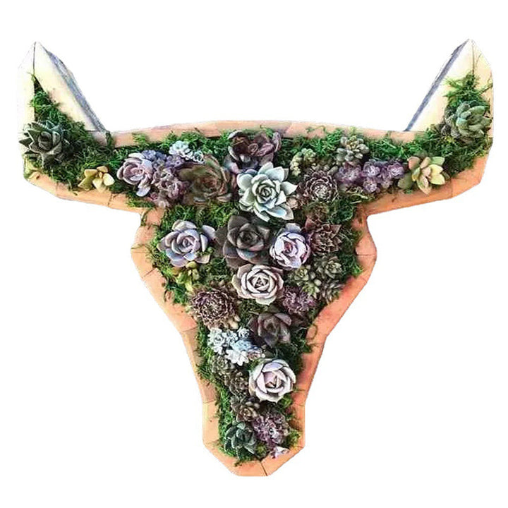 Animal Succulent Hageoppsett | Skanto
