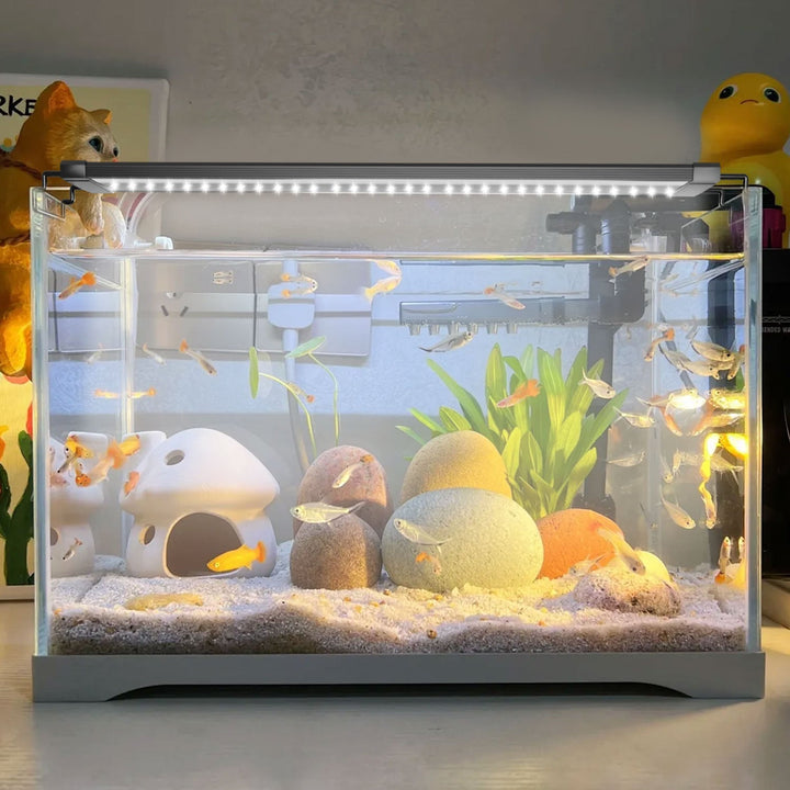 LED akvariebelysning 24/7 modus med timer | Skanto
