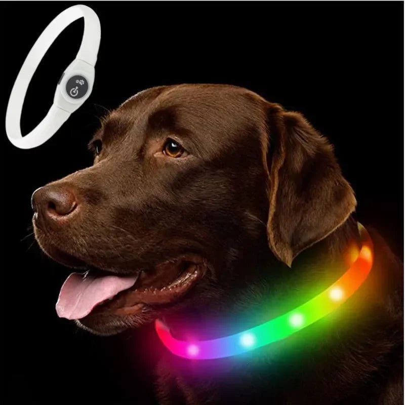 Skanto | LED Lyskrage for Hunder for Trygge Turer om Natten