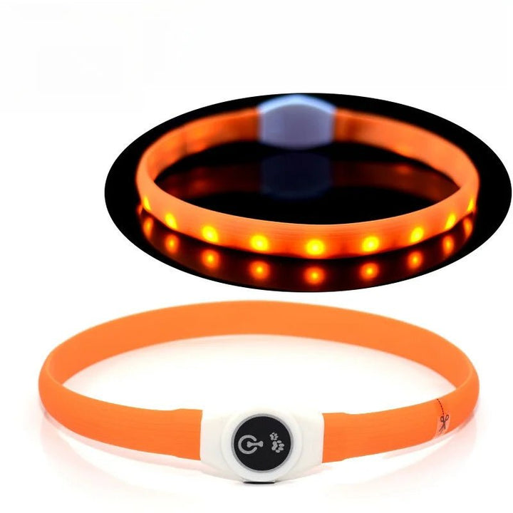 Skanto | LED Lyskrage for Hunder for Trygge Turer om Natten