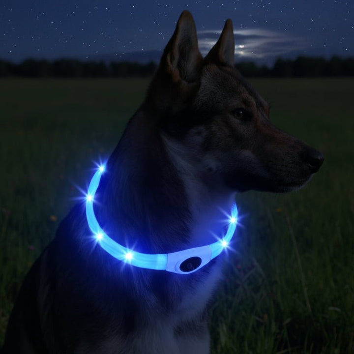 Skanto | LED Lyskrage for Hunder for Trygge Turer om Natten