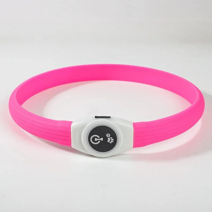 Skanto | LED Lyskrage for Hunder for Trygge Turer om Natten
