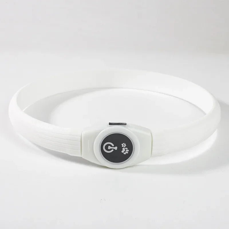 Skanto | LED Lyskrage for Hunder for Trygge Turer om Natten