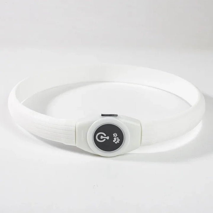 Skanto | LED Lyskrage for Hunder for Trygge Turer om Natten