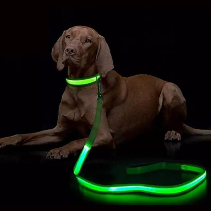 Skanto | LED hundebånd med USB-lading og reflekterende design