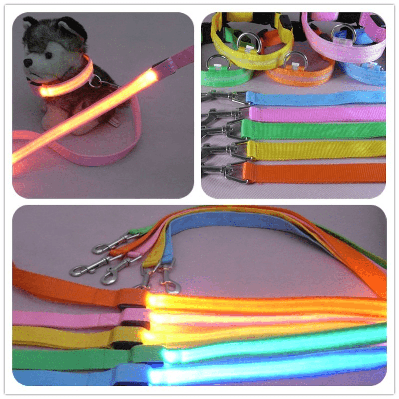 Skanto | LED hundebånd med USB-lading og reflekterende design