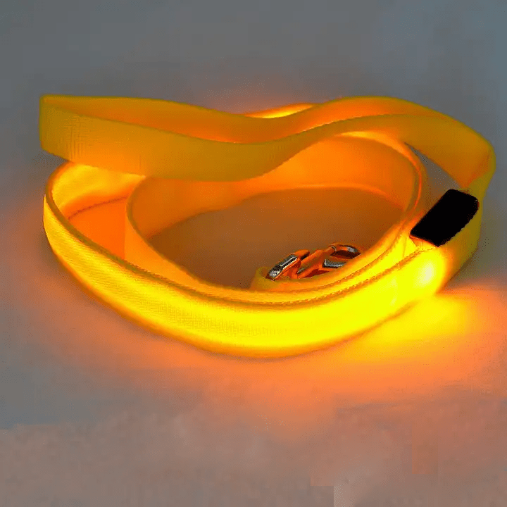 Skanto | LED hundebånd med USB-lading og reflekterende design