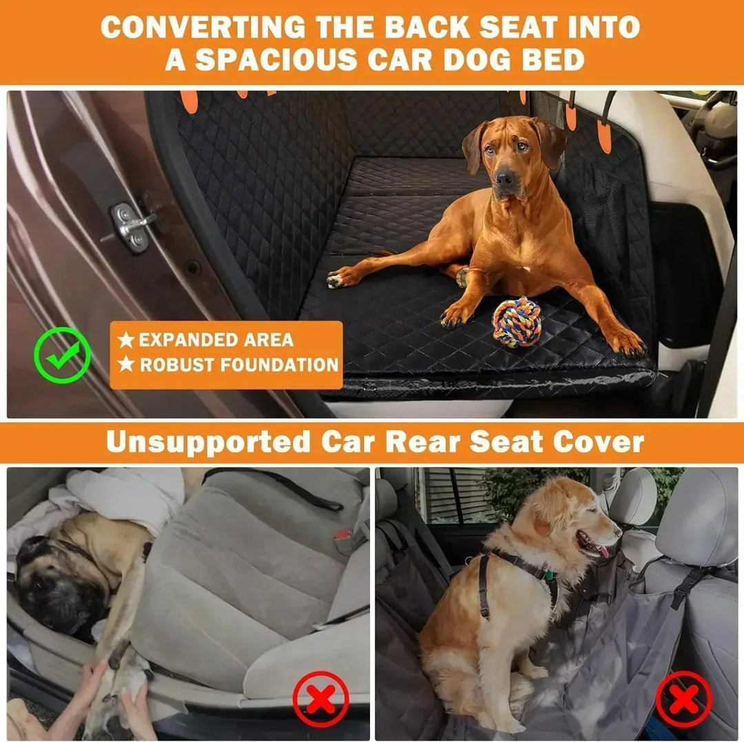 Skanto | DogBench | Reis fredelig med hunden din
