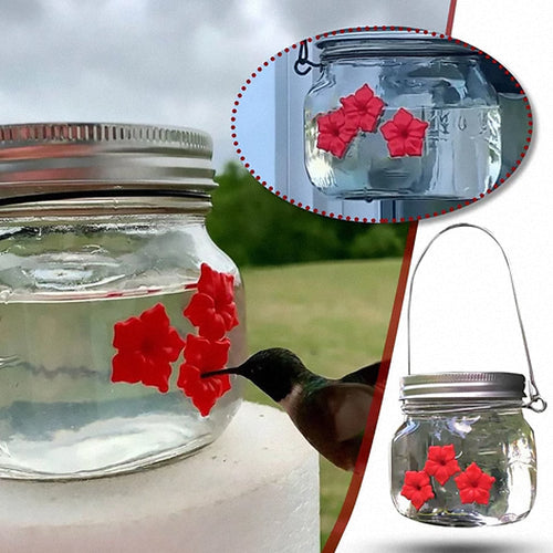 Skanto | Vakker Mason Jar Kolibri Fôrer