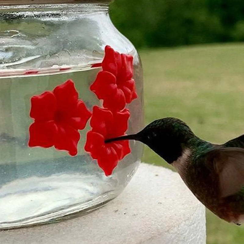 Skanto | Vakker Mason Jar Kolibri Fôrer
