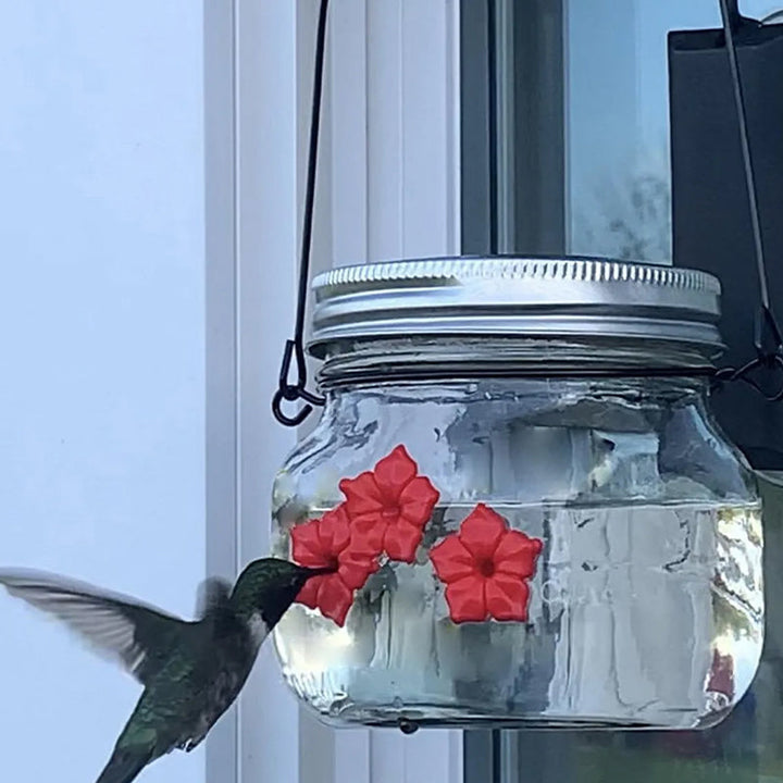 Skanto | Vakker Mason Jar Kolibri Fôrer