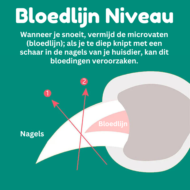 MAX - Den beste neglipperen for hunder med quick sensorer