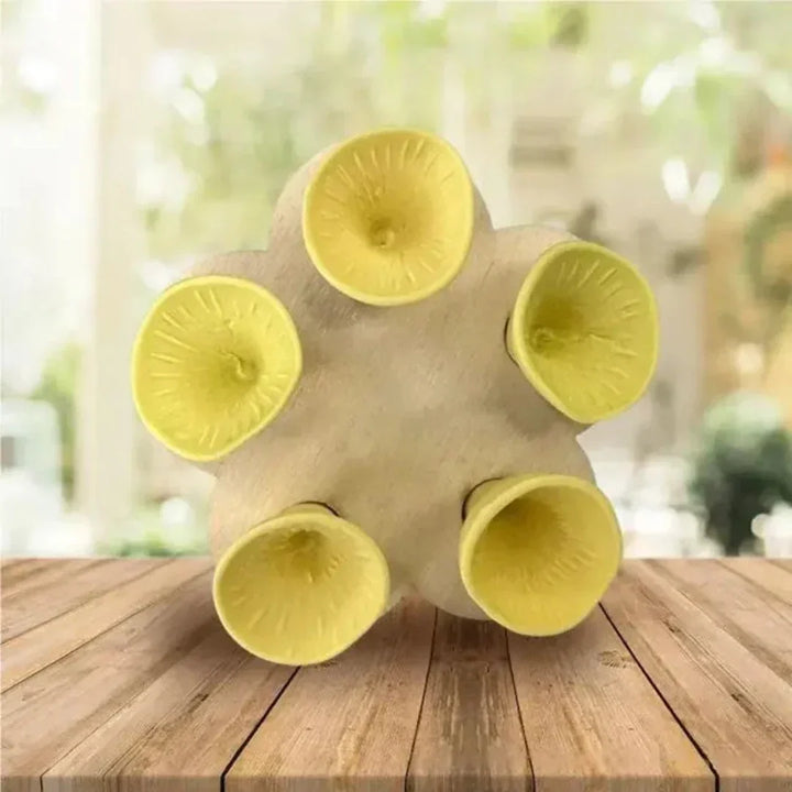 Skanto | Bee Care - PolliCup - Pollinator Friendly - Support Biodiversity
