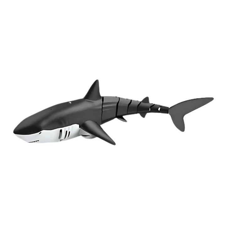 Skanto | SharkRush