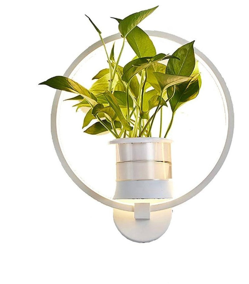 Skanto | Botanisk Vegglampe - vegglampe med plante for stilfull belysning