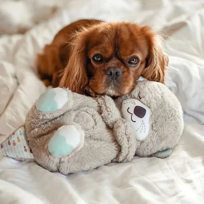 Skanto | HerzHalt Plush Venn for Valper & Kattunger