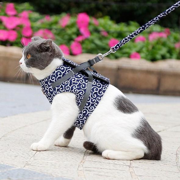 Skanto | Katt Vest Sele og Båndsett for Utegående Gåing