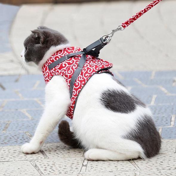 Skanto | Katt Vest Sele og Båndsett for Utegående Gåing