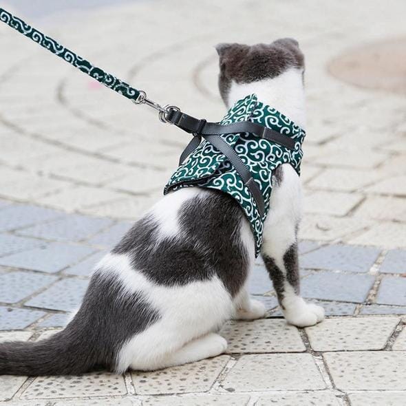 Skanto | Katt vest sele og båndsett for turer