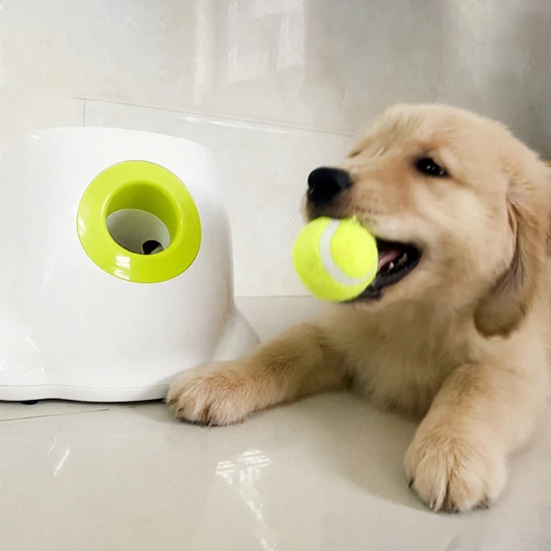 PetLaunch | Skanto