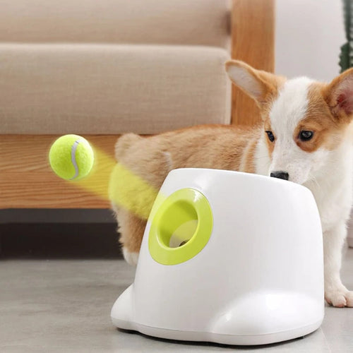 PetLaunch | Skanto
