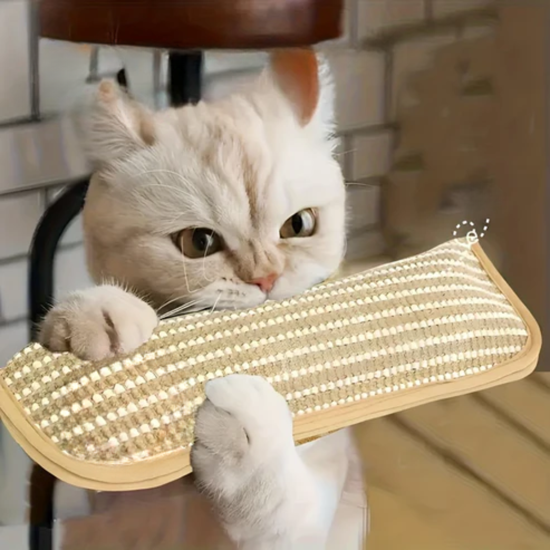 Klorepute for katter med kattmynt holdbar og robust Skanto