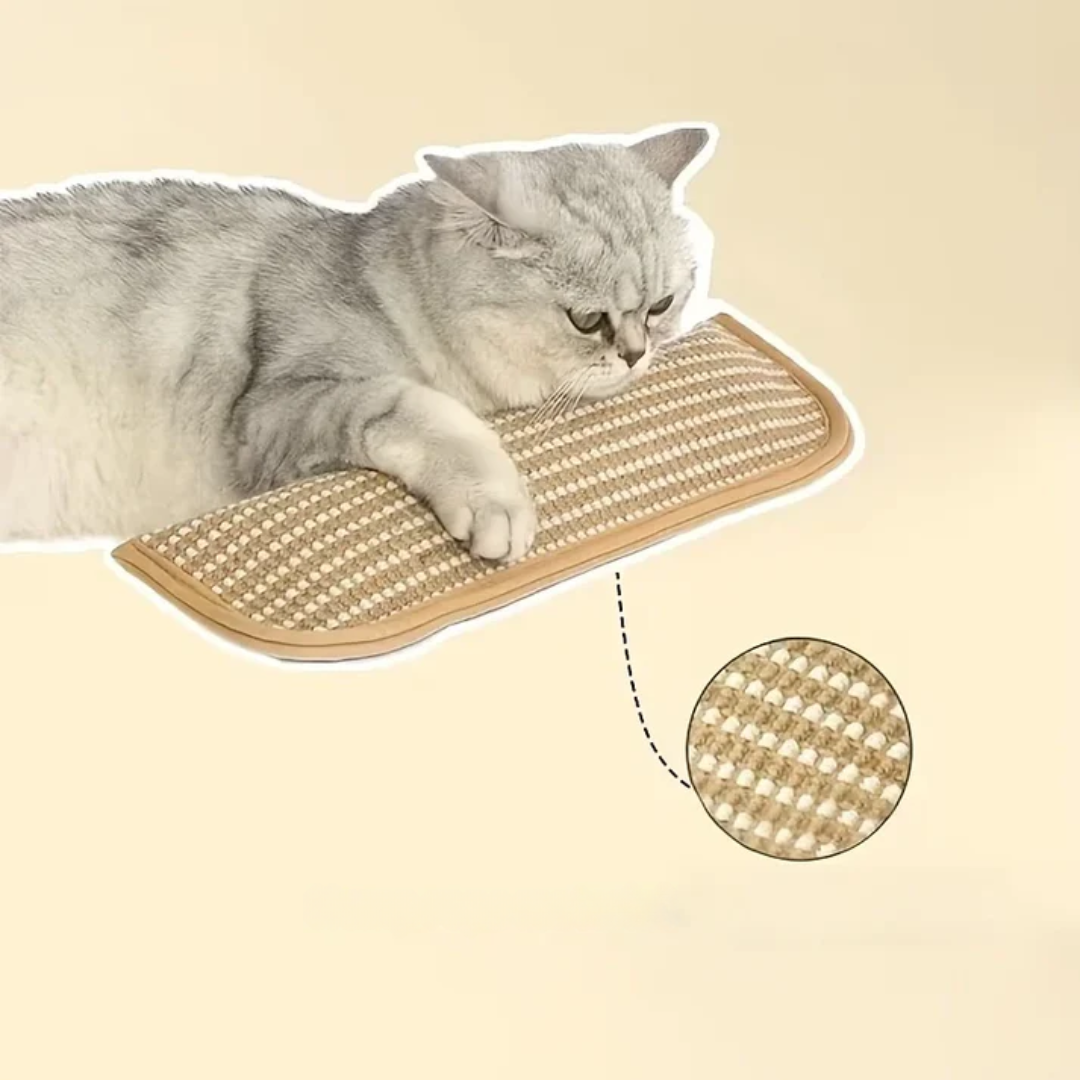 Klorepute for katter med kattmynt holdbar og robust Skanto