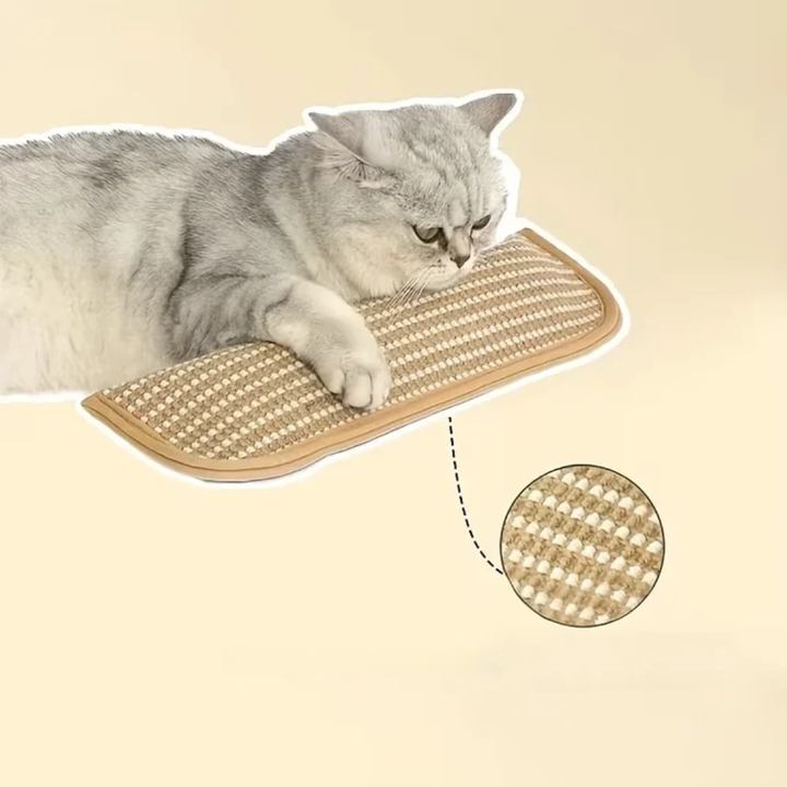 Klorepute for katter med kattmynt holdbar og robust Skanto