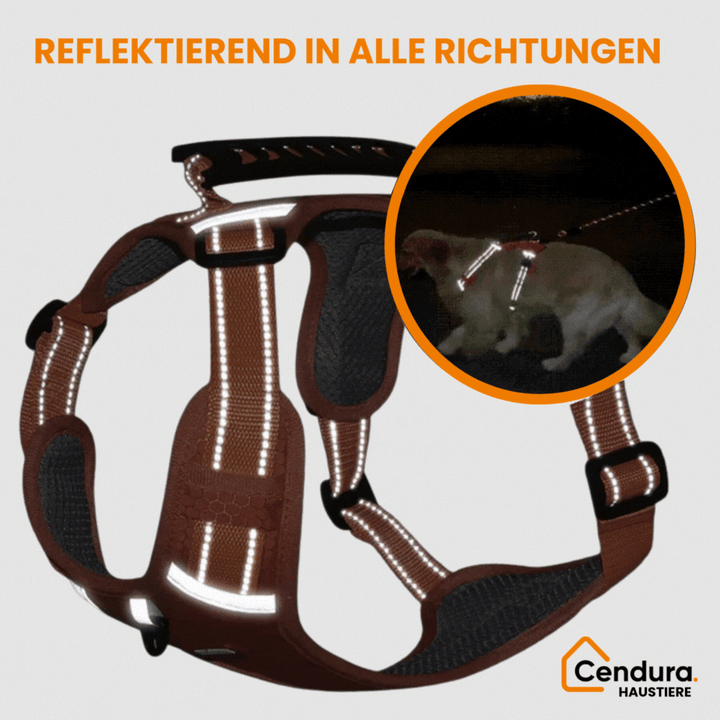 HappyHund sikkerhetssele refleks | Skanto