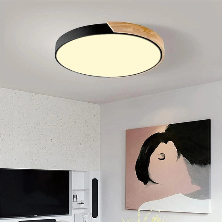 Fargerik Rund LED Taklampe | Skanto
