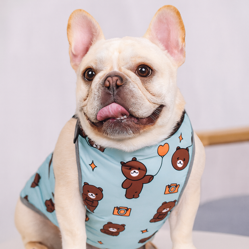 CooLie Frenchie Kjølevest – Sommer Magebeskyttelse Komfort | Skanto