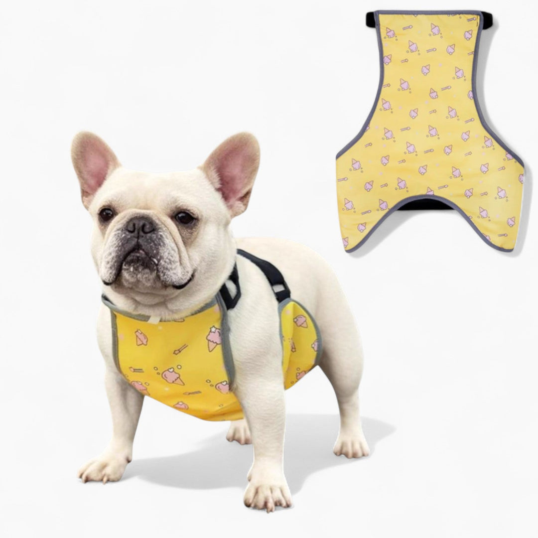 CooLie Frenchie Kjølevest – Sommer Magebeskyttelse Komfort | Skanto