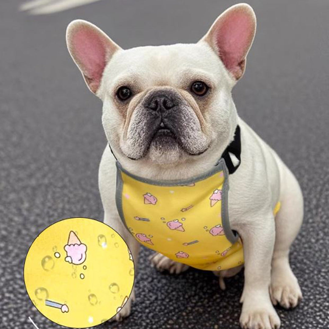 CooLie Frenchie Kjølevest – Sommer Magebeskyttelse Komfort | Skanto