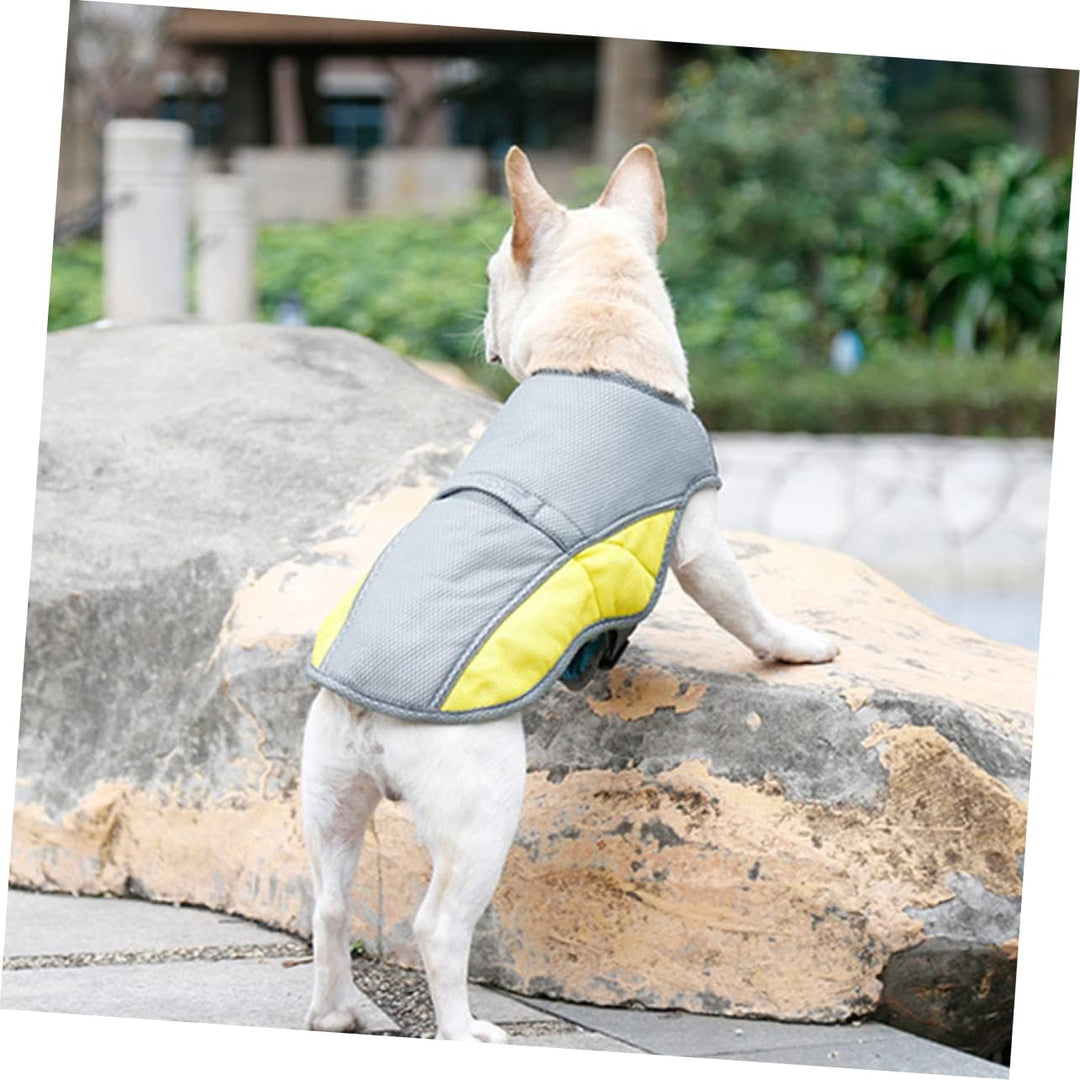Coolify™ : Kjølevest for Fransk Bulldog (CS13) | Skanto