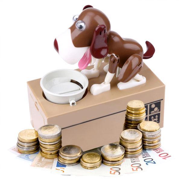 Crazy Doggy Coin Bank | Skanto
