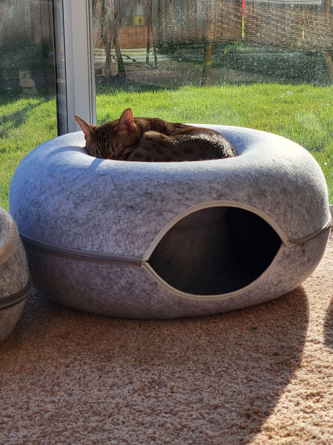 Purrfect Den - Luksus Katte Tunnel med Soveplass Skanto