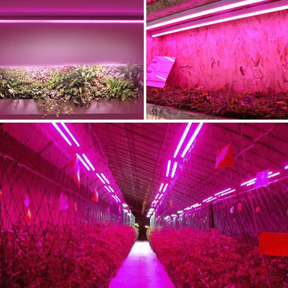 Skanto | LED plante lampe med fullspektrum belysning og trekkbryter for optimal plantevekst