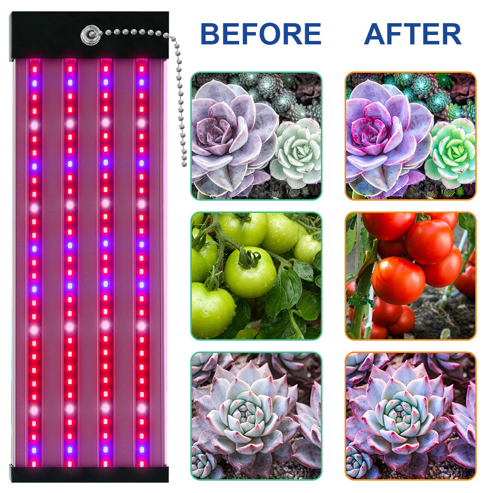 Skanto | LED plante lampe med fullspektrum belysning og trekkbryter for optimal plantevekst